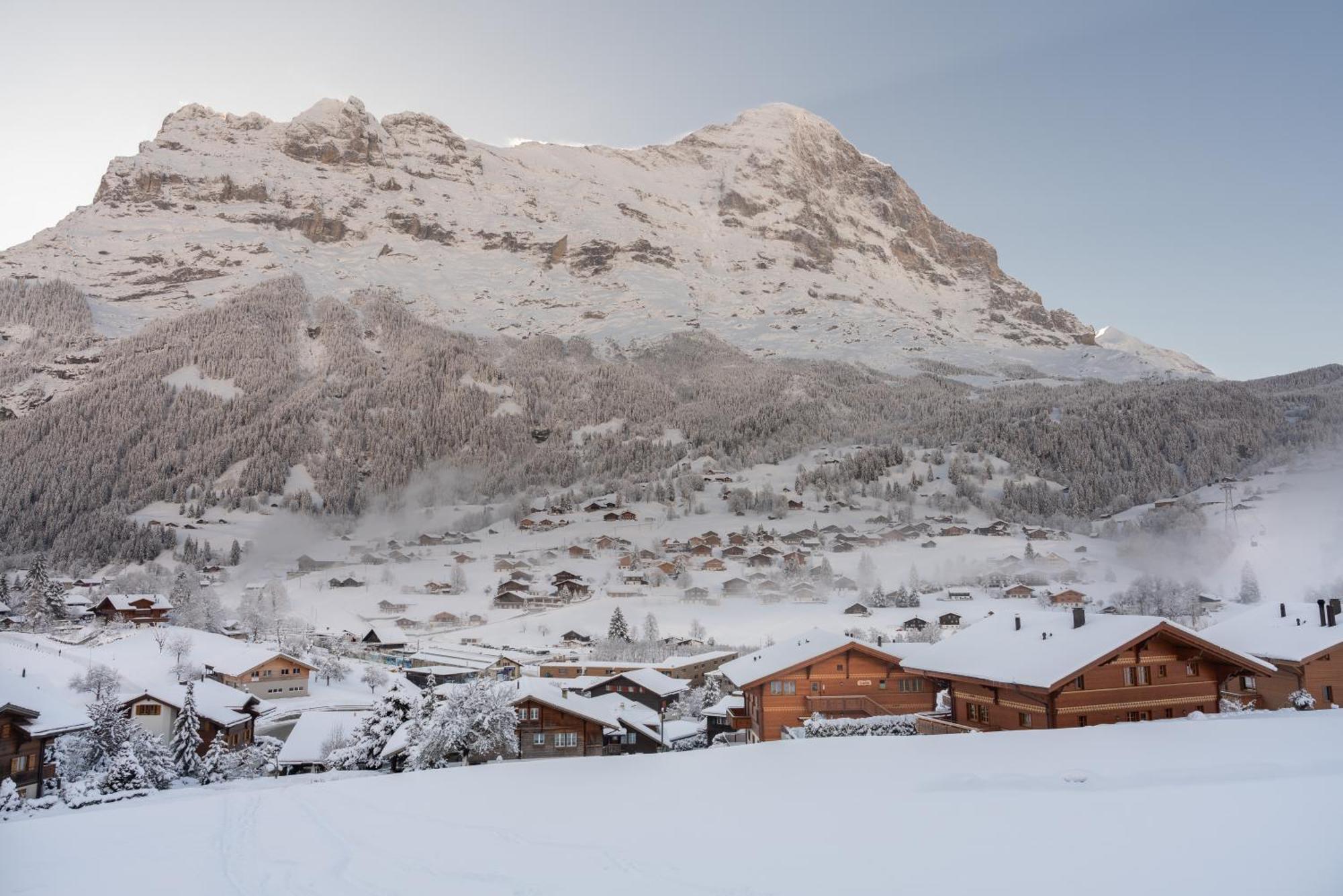 Chalet Alia And Apartments-Grindelwald By Swiss Hotel Apartments Extérieur photo