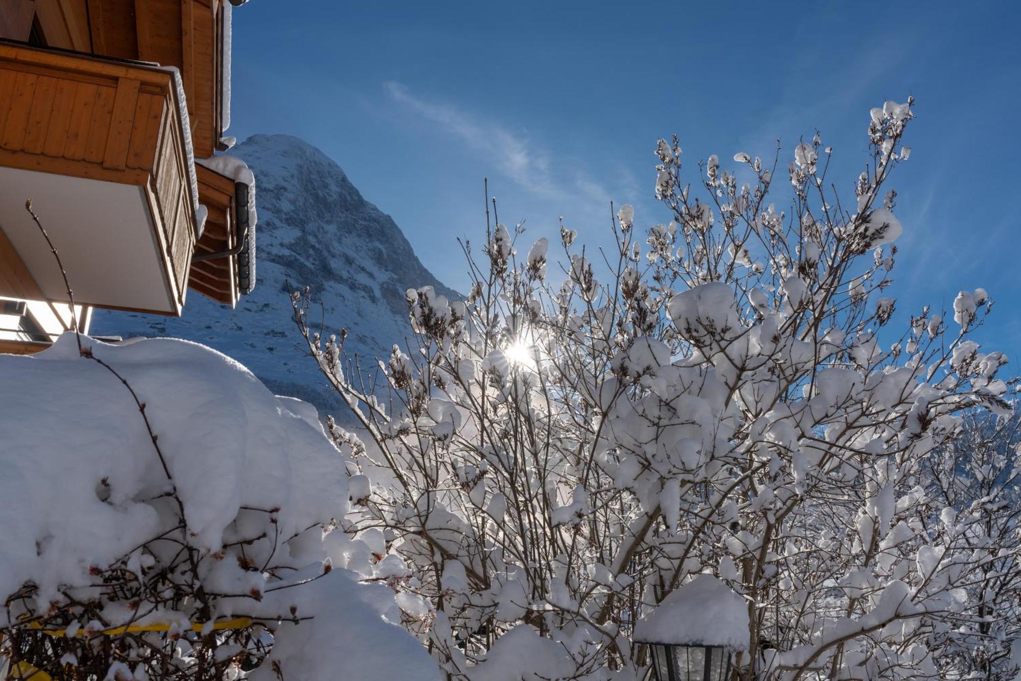 Chalet Alia And Apartments-Grindelwald By Swiss Hotel Apartments Extérieur photo
