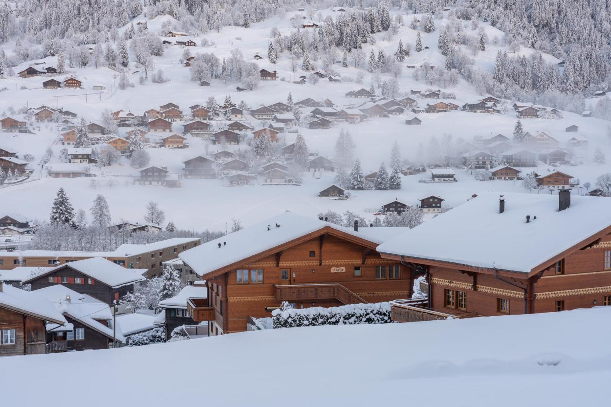 Chalet Alia And Apartments-Grindelwald By Swiss Hotel Apartments Extérieur photo