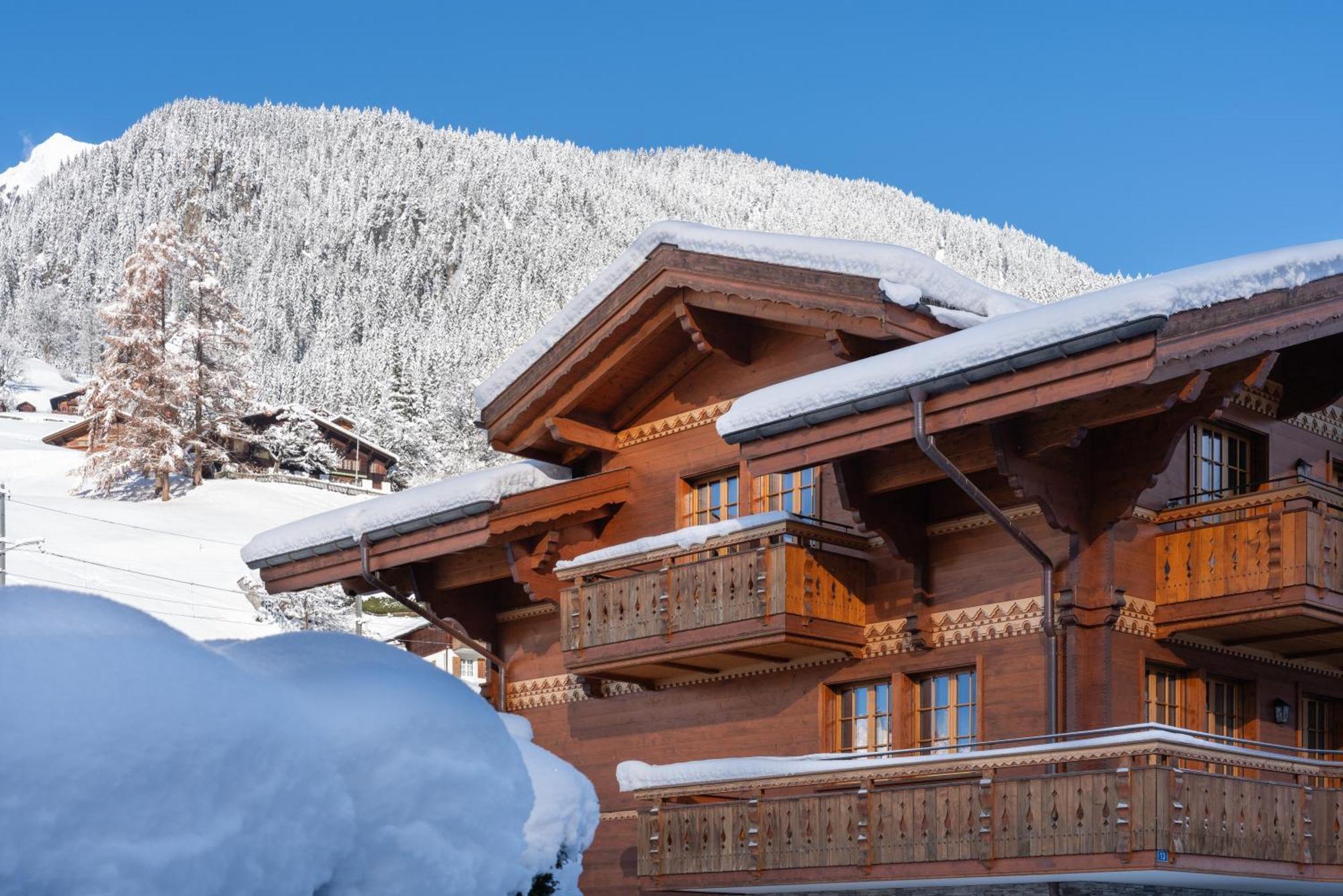 Chalet Alia And Apartments-Grindelwald By Swiss Hotel Apartments Extérieur photo